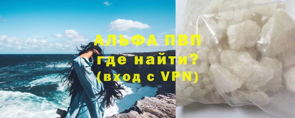 прущие грибы Костерёво