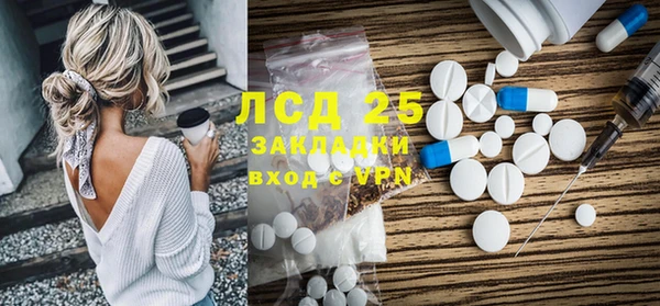 прущие грибы Костерёво