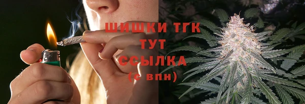 крисы Козловка