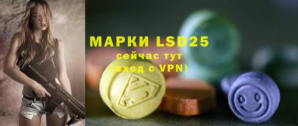 прущие грибы Костерёво