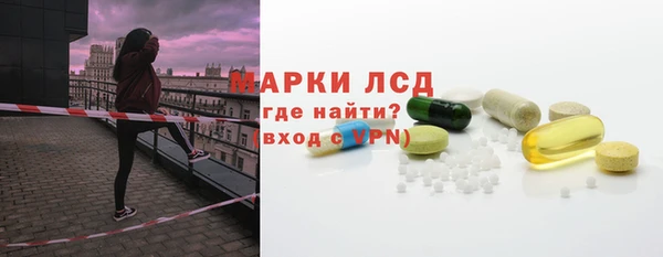прущие грибы Костерёво
