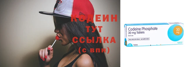прущие грибы Костерёво