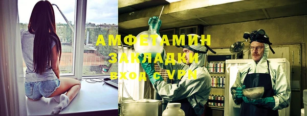 прущие грибы Костерёво