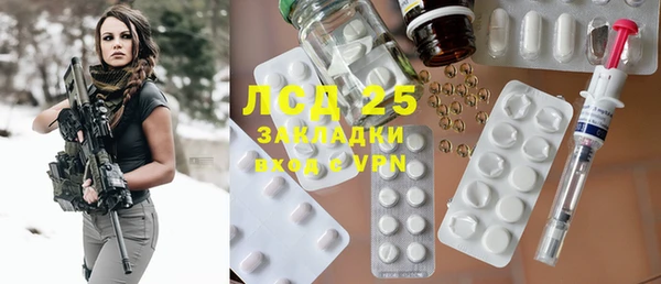 прущие грибы Костерёво